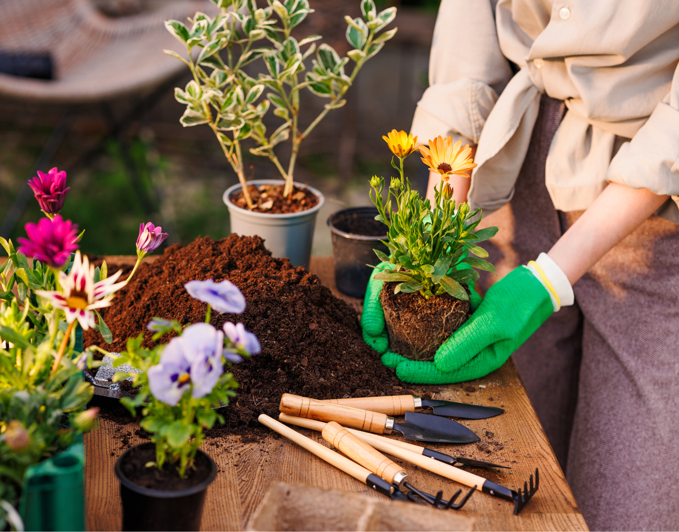 https://makeit-green.gr/wp-content/uploads/2025/05/Make-it-green_site_ποιοι-είμαστε_3a.png
